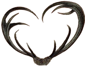 Ping Heart_edited.png