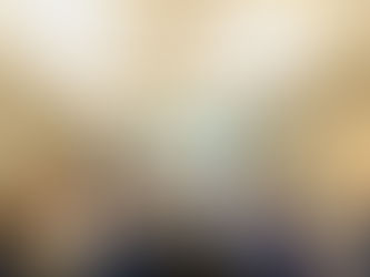 Customs, Community and Collaboration - Reflections from the Vermont Border Trade Event