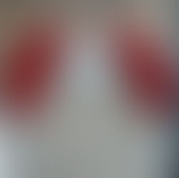 Find Your Dream Wedding Dress at Marcella’s Bridal This Valentine’s Day