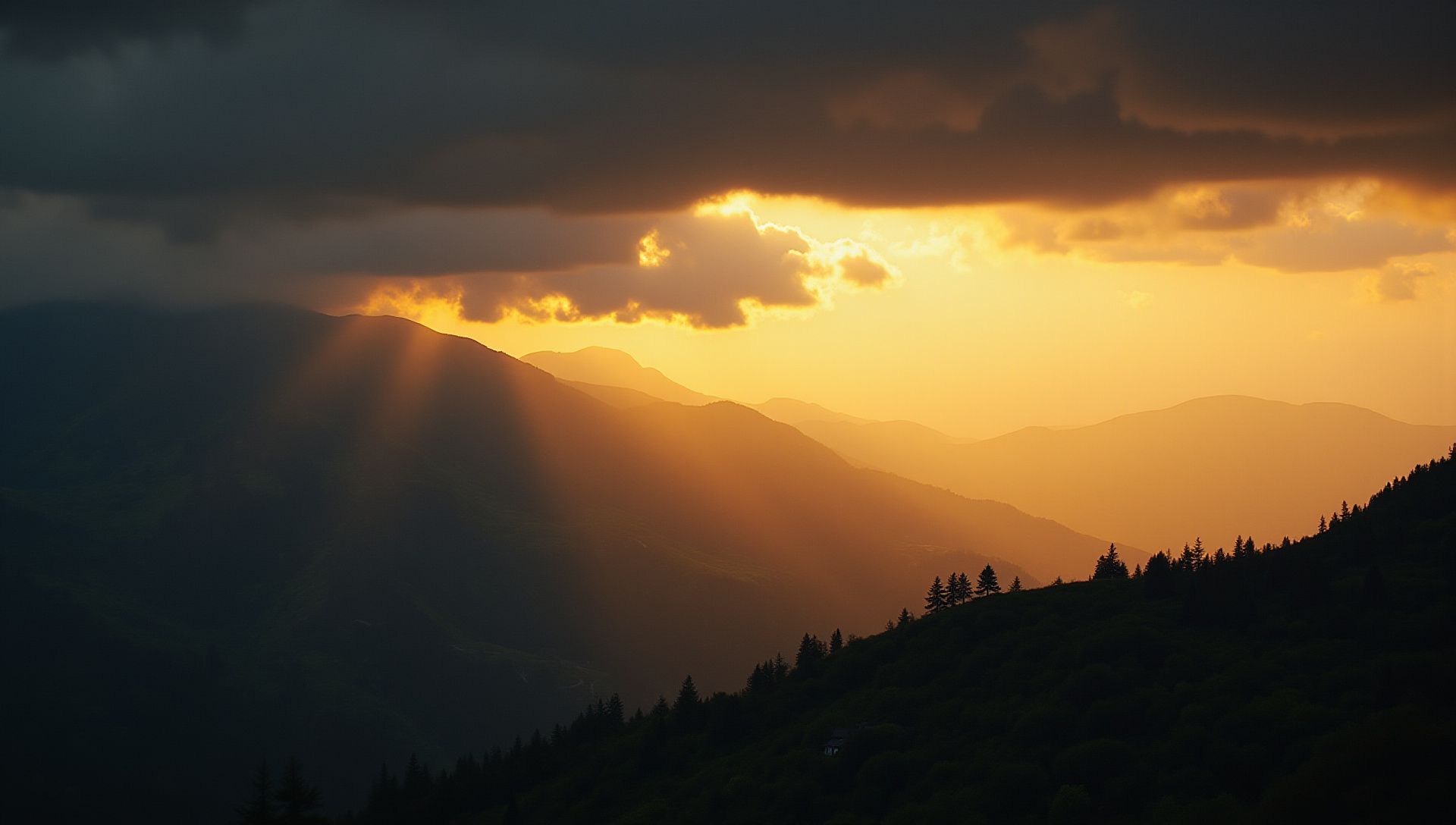 Photo of the Week