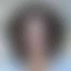 Femke Halsema , Mayor of Amsterdam