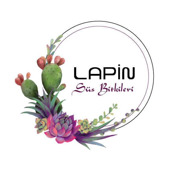 lapin sus bitkileri