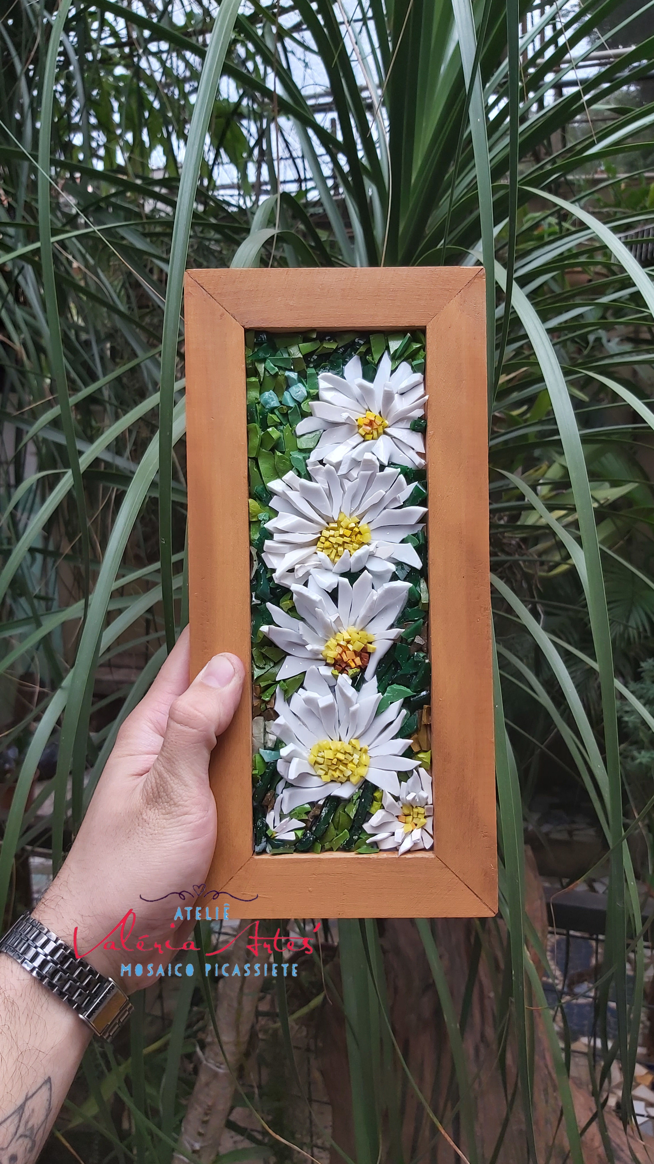 Margaridas voantes