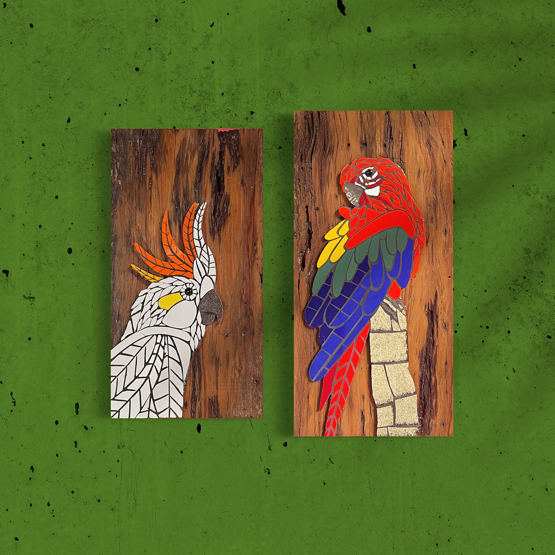 Cacatua e arara