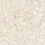 Thumbnail: Southern Cross Ceramics Terrina Square Tile Wollongong | South Coast Tiles, Oak Flats