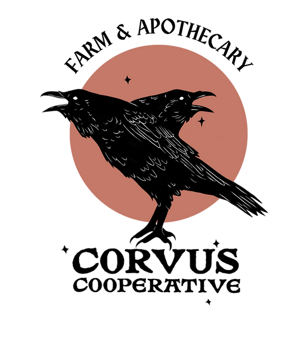 corvus cooperative logo with two headed raven