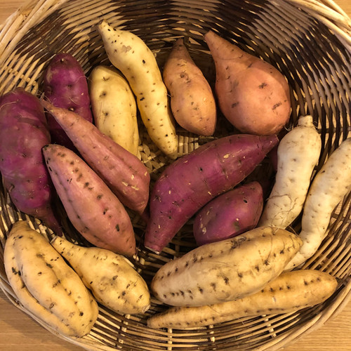 彩りサツマイモ8種セット | きりり農園