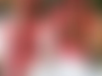 Албания — одно из последних бюджетных направлений Средиземноморья