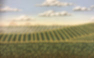 Close Up of Multiple Rows.jpg