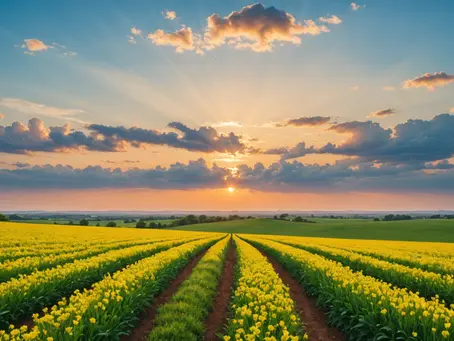 Unleashing the Future: How Will Your 2025 Transformation Unfold?