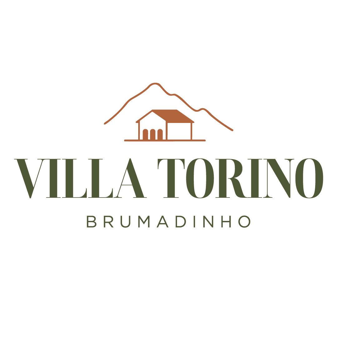 Villa Torino_Logo_Bicolor.png