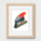 Thumbnail: Andean Cock-of-the-rock (Rupicola peruvianus) - Original Drawing