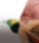 Count Raggi's_detail_edited_edited.jpg