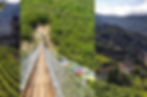 tris di foto_esperienze1.jpg