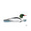 Thumbnail: Common Merganser illustration