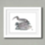 Thumbnail: Paintspotted Moray (Gymnothorax pictus) - Giclée Print