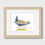 Thumbnail: Spotless Crake (Porzana tabuensis) - Giclée Print