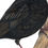 Thumbnail: Common Blackbird illustration