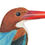 Thumbnail: White-throated Kingfisher illustration