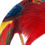 Thumbnail: Golden Pheasant (Chrysolophus pictus)