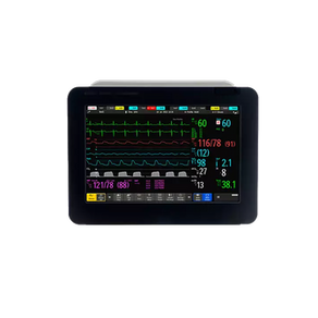 A portable patient monitor