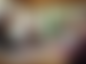 Navigating Florida Senior Support Programs: A Guide to Empowering Our Elders