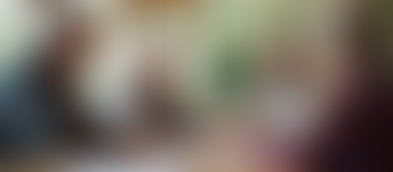 Navigating Florida Senior Support Programs: A Guide to Empowering Our Elders