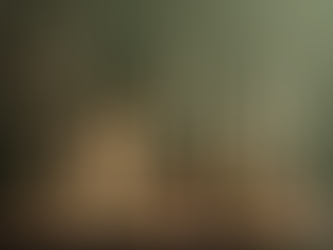 Shop Online for Forest-Inspired Soy Wax Candles