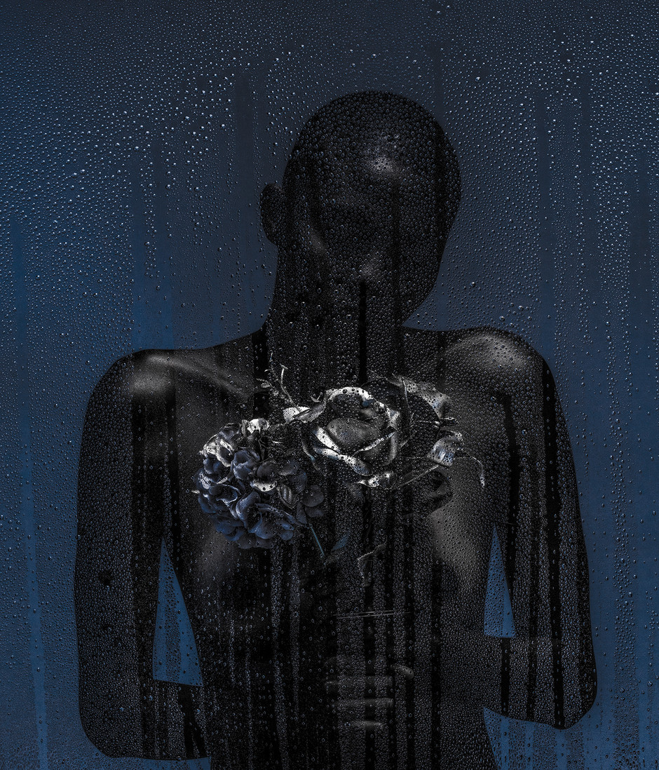 "JANELA II"