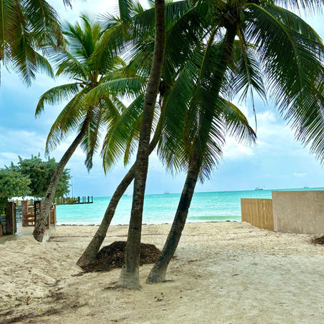 Key West 2024-Ode to Tranquility