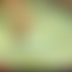 Cilantro Lime Gold Rice