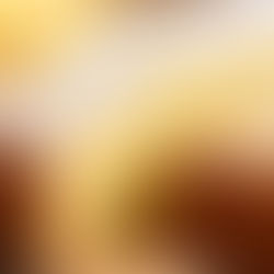 Lemon Olive Oil Cake