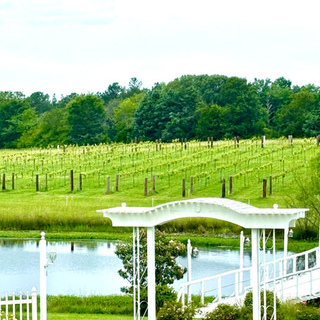 Who Needs Napa? 🍇 Laurel Haven Estate 
