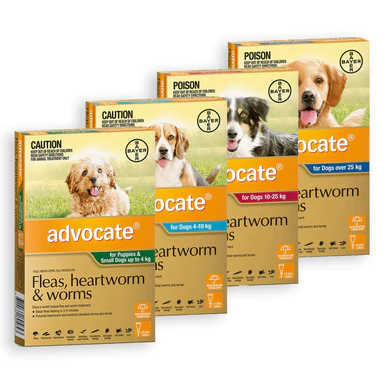 Advocate fleas heartworm and worms for dogs clearance