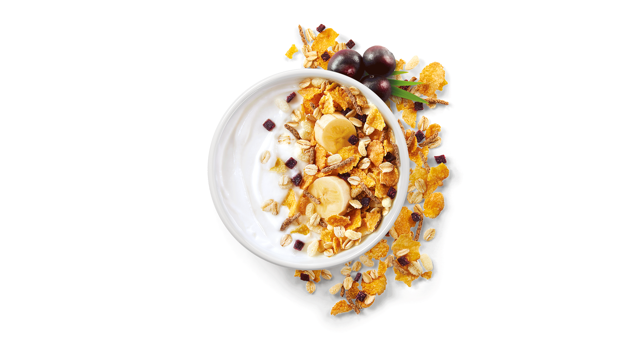 02 Kelloggs_Tela05.gif