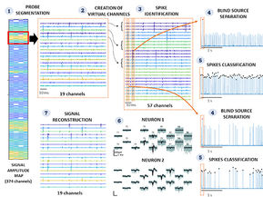 NeuroNella: Automatic identification of neural activity from multielectrode arrays with blind source separation - Journal of Neural Engineering, 2025