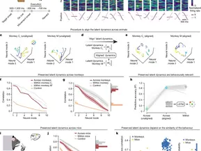 A neuroscience study showing how you can build a decoder that generalises across participants —and how generalisation will depend on the similarity of the behaviour - Nature, 2023
