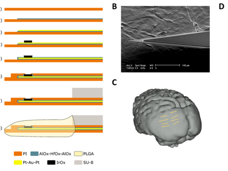 Thin flexible arrays for long-term multi-electrode recordings in macaque primary visual cortex