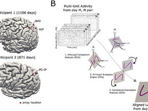 Neural subspaces of imagined movements in parietal cortex remain stable over several years in humans - Journal of Neural Engineering, 2024