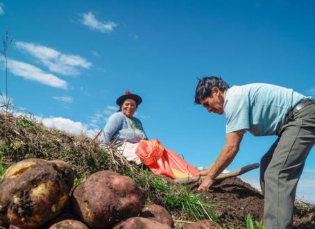 Productores Agrarios: Padrón ya supera el millón de registros a nivel nacional