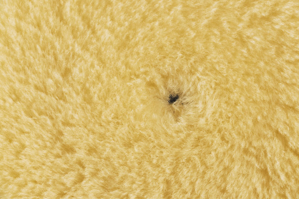 Miniaturbild: Medium Wool Polishing Pad