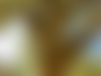 What We Can Learn From Trees