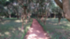 IMG-20171031-WA0006.jpeg