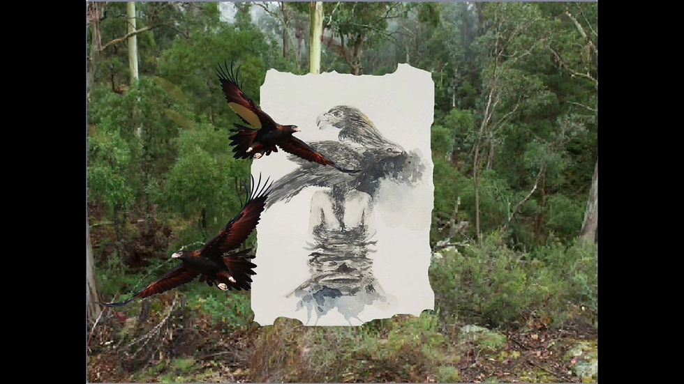 Thumbnail: Dream with Wedge-tailed Eagle