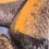 Thumbnail: Bay of fires (requires framing)