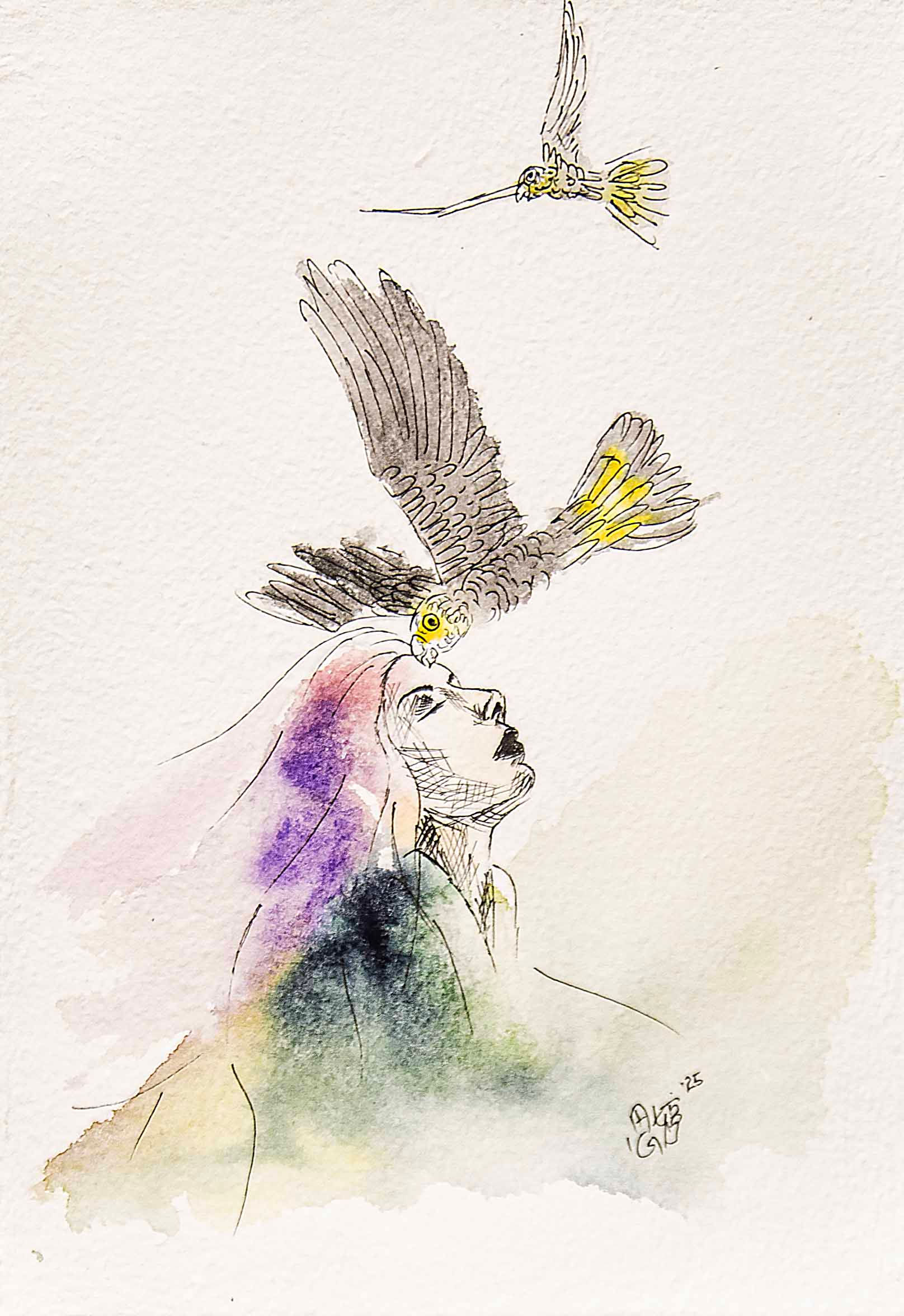 Dream with Yellow-tailed Black Cockatoo