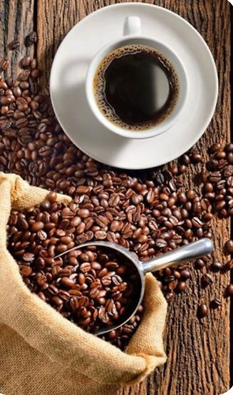 WhatsApp Image 2023-02-20 at 18.08.54.jpeg