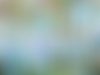 風鈴の音を聞くだけで涼しくなるって本当?日本人だけの現象は古くからの風習に由来!