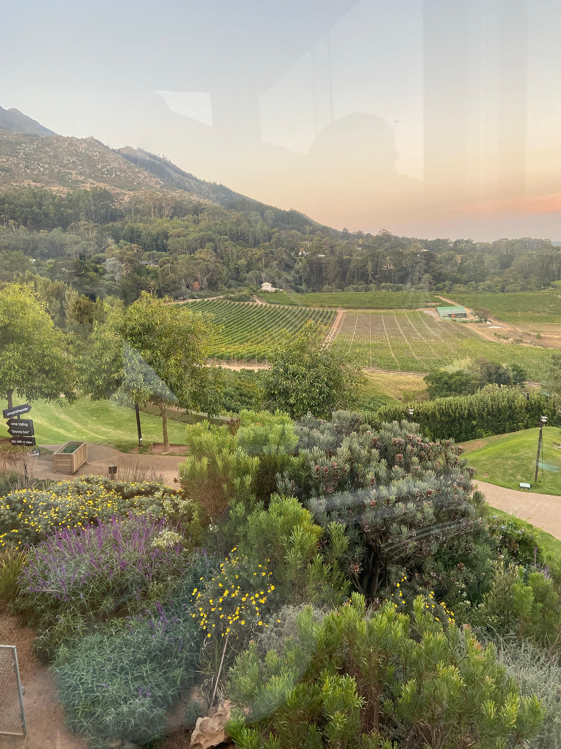 Chef's Warehouse Beau Constantia