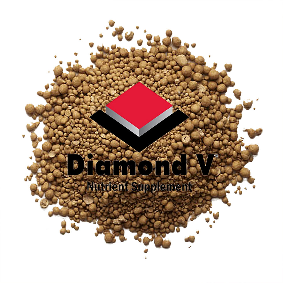 Thumbnail: Wholesale Vitanip® - 12 pc